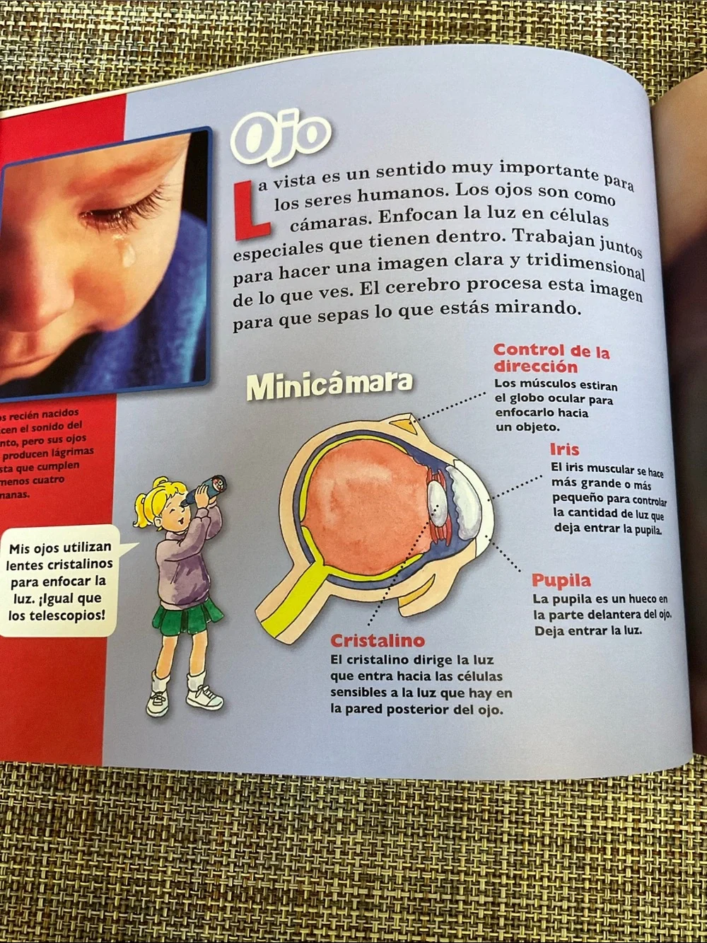 Scholastic El autobús mágico - 2 children’s books, Spanish.